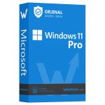 Windows 11 Pro Orjinal Lisans